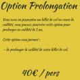 Option prolongation Option prolongation