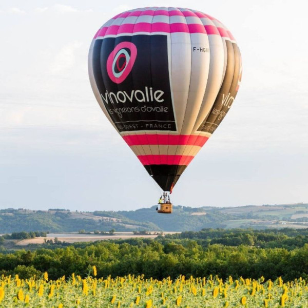 Survol des tournesols en montgolfière