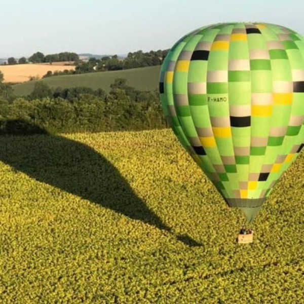 Survol des tournesols en montgolfière dans le Tarn