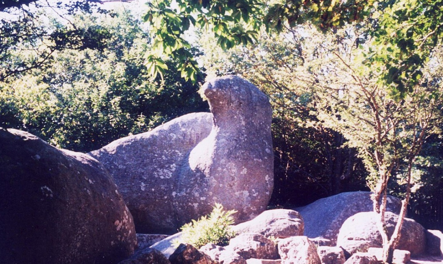 Zoom sur les grands sites naturels du Tarn : les lieux incontournables à découvrir pendant vos vacances